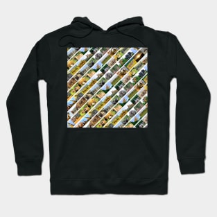 African Wildlife Stripe Collage White Hoodie